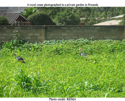 Rwanda Environment Outlook